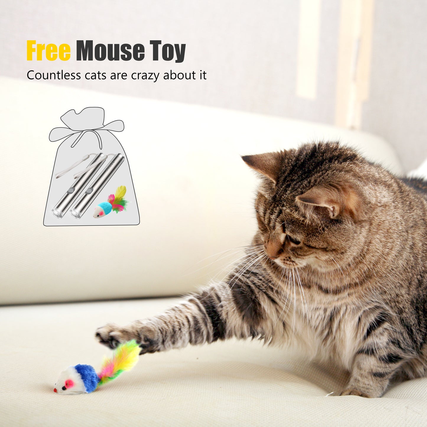 cat laser toy