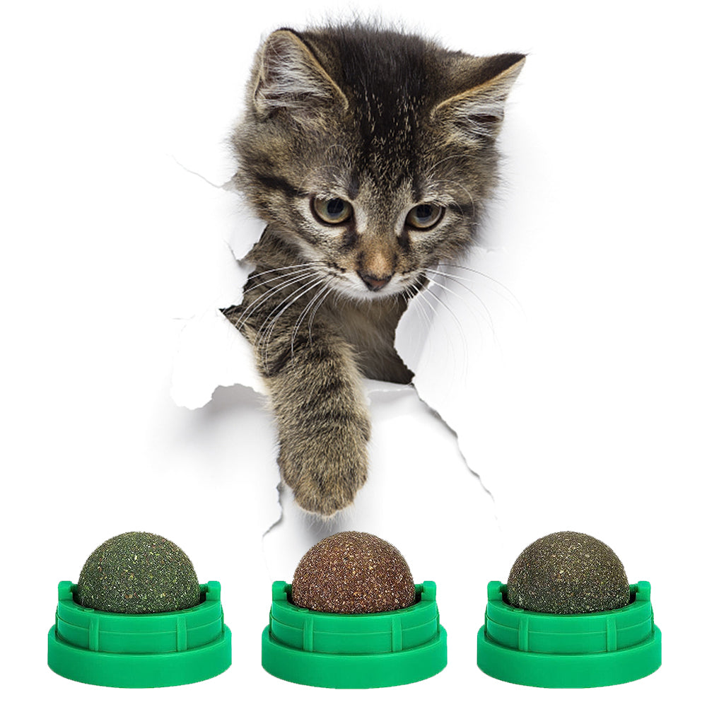 thumbnail image 2 of Deago 3 Pack Catnip Balls For Cats Wall, Edible Cat Nip Licking Balls, Safe Healthy Cat Nip Ball Rotatable Catnip Roller Cat Teeth Cleaning Relieve Cat Anx 2 of 13