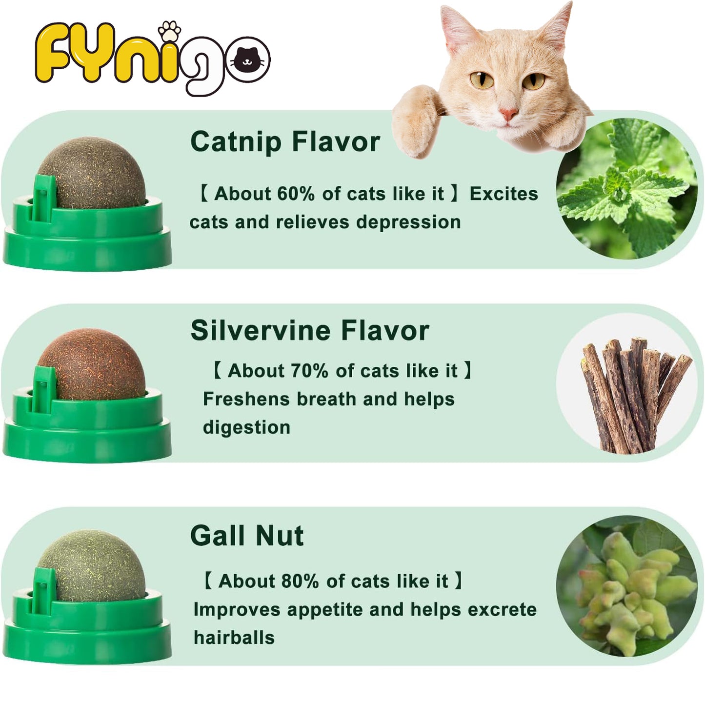 cat ball toy