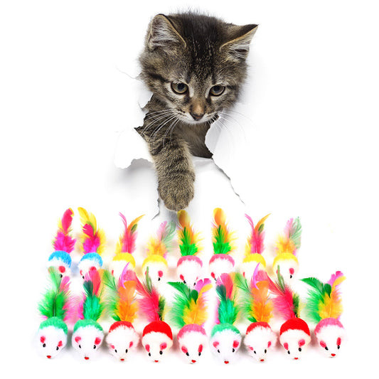 A kitten playing with FYNIGO mouse toys