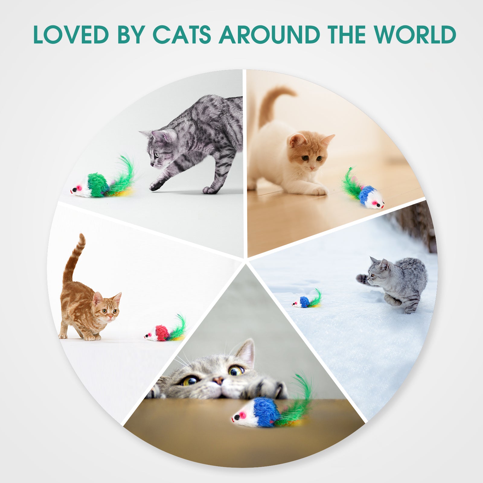 kitten toys