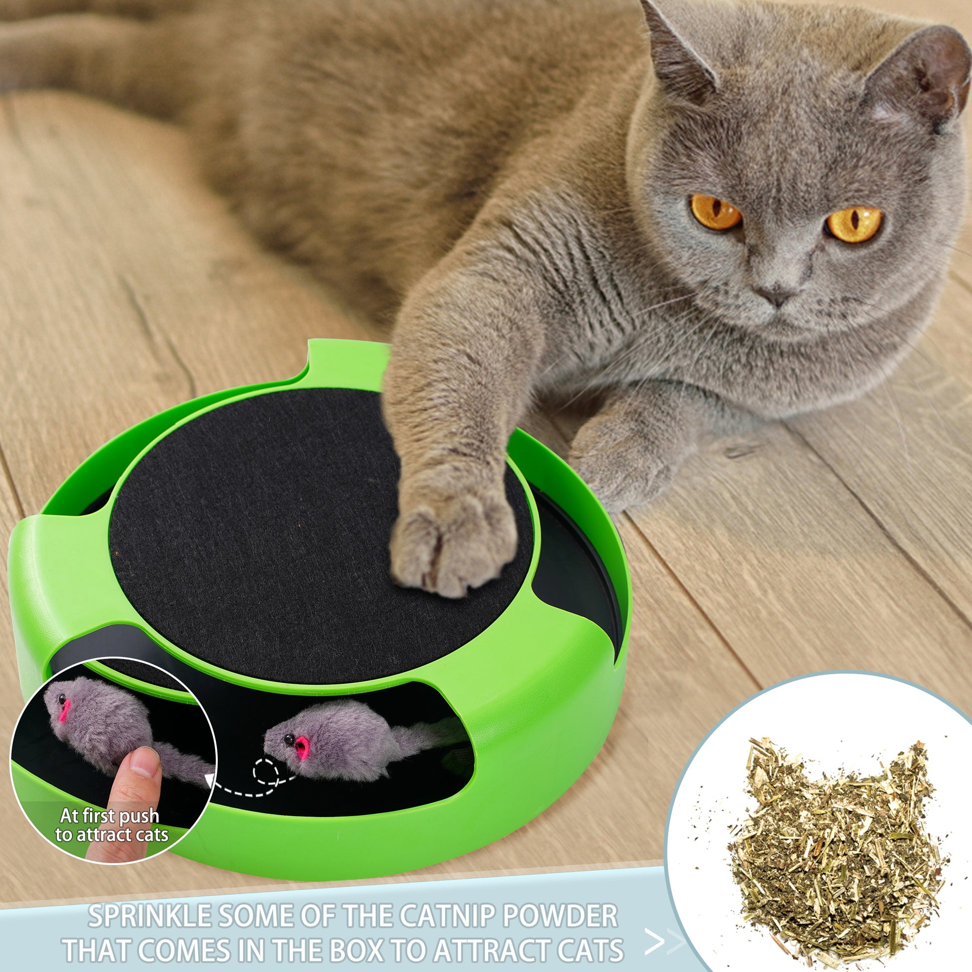 cat toy mouse