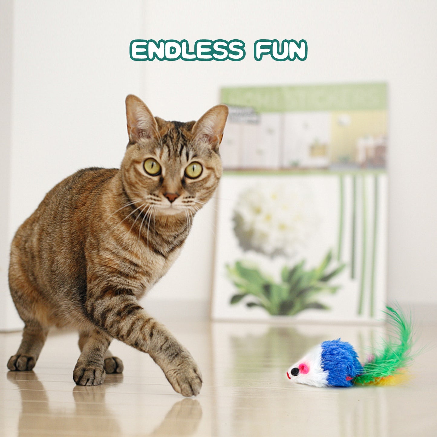 cat toys for indoor cats