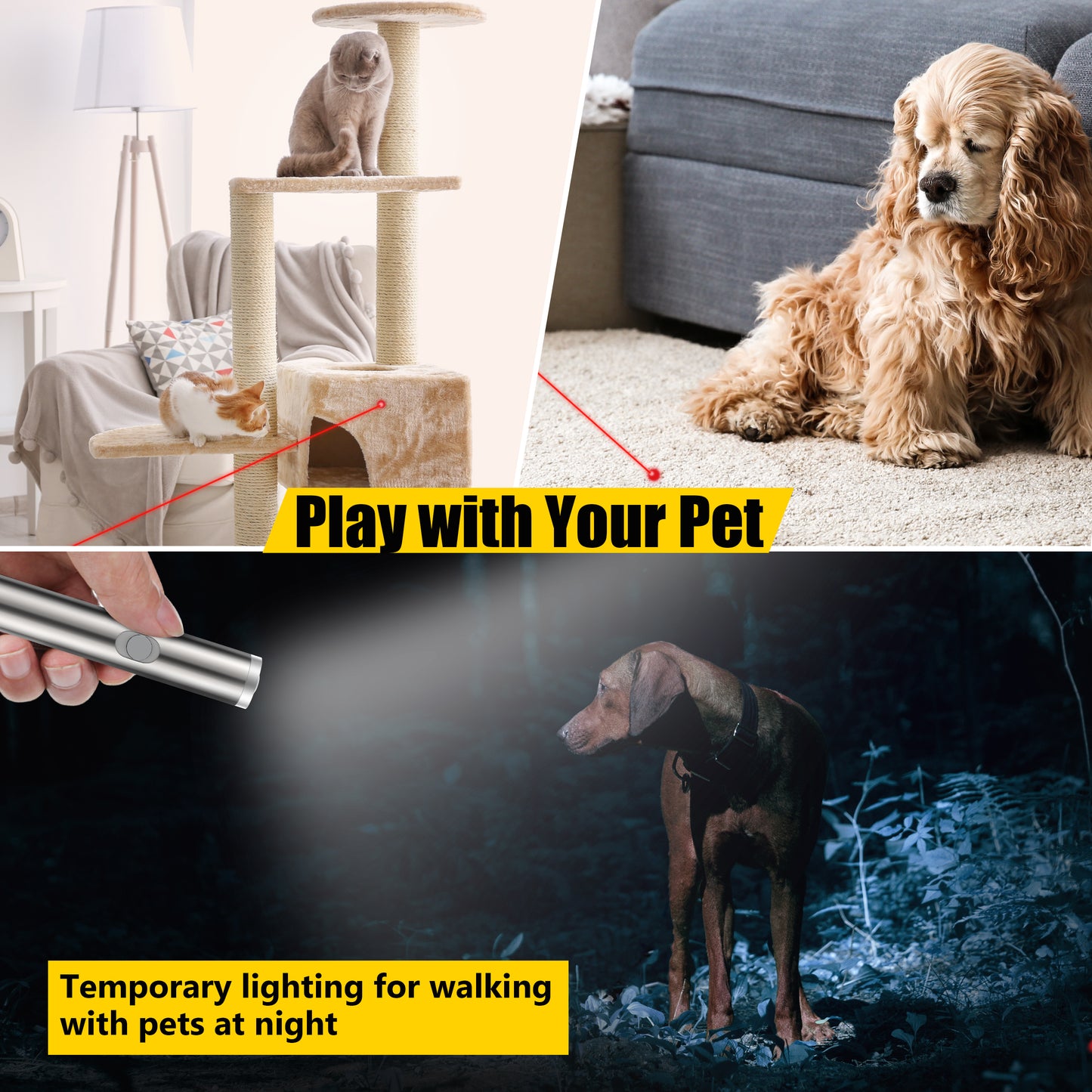 cat laser toy