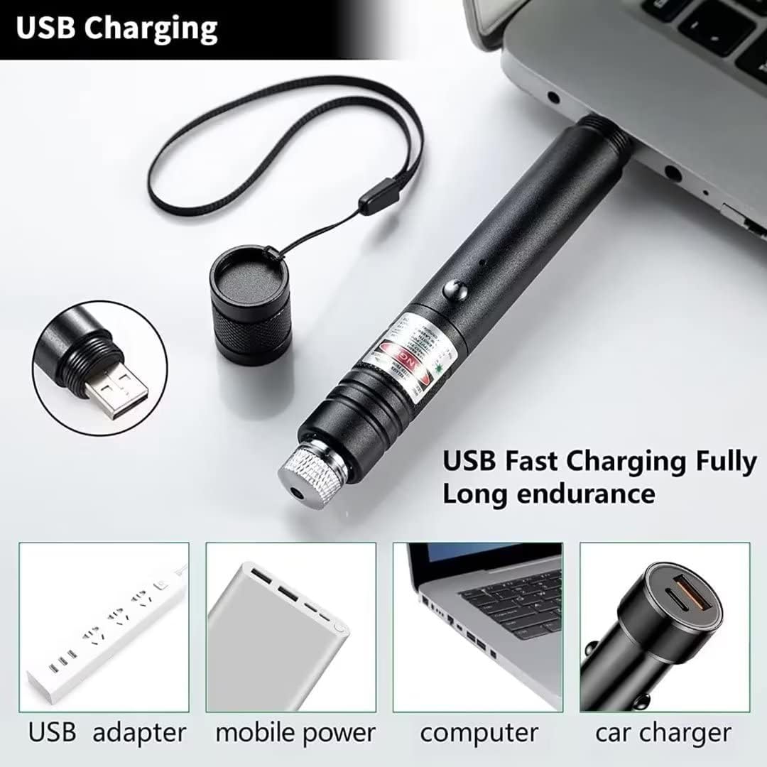 cat laser pointer