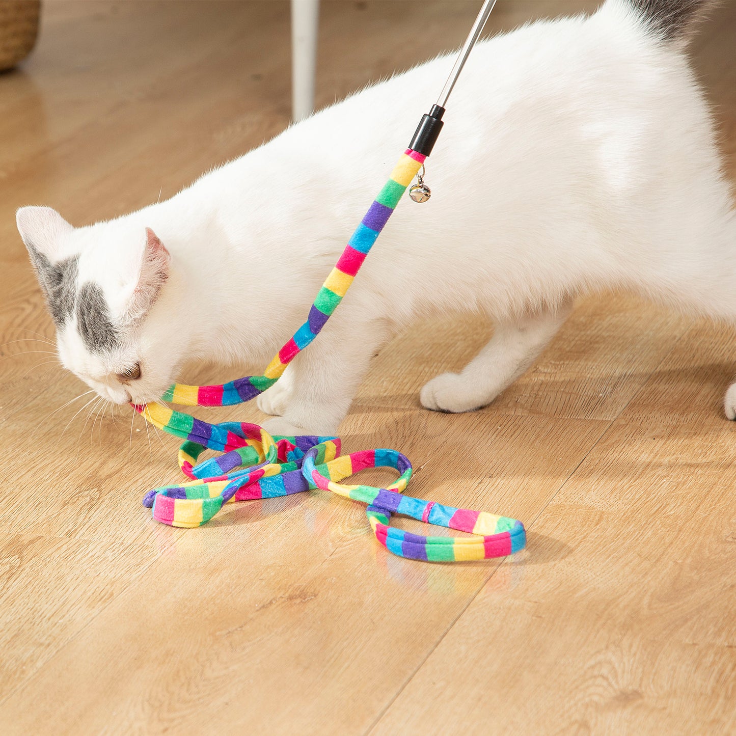 cat wand