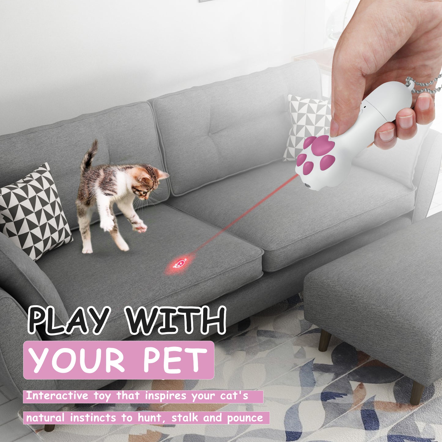 cat laser pointer