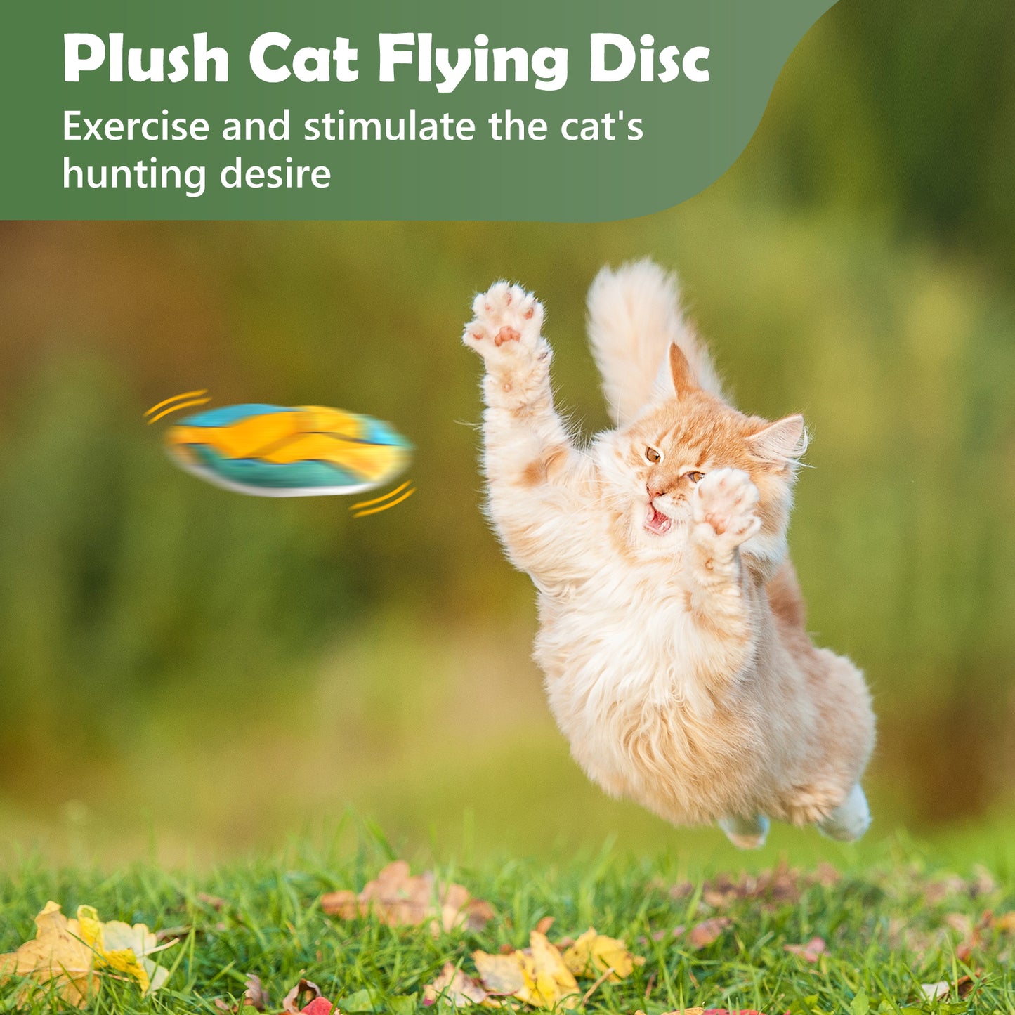 cat toy