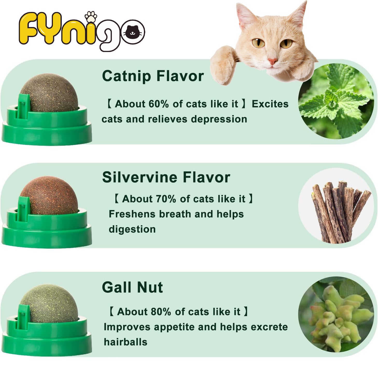 cat ball toy
