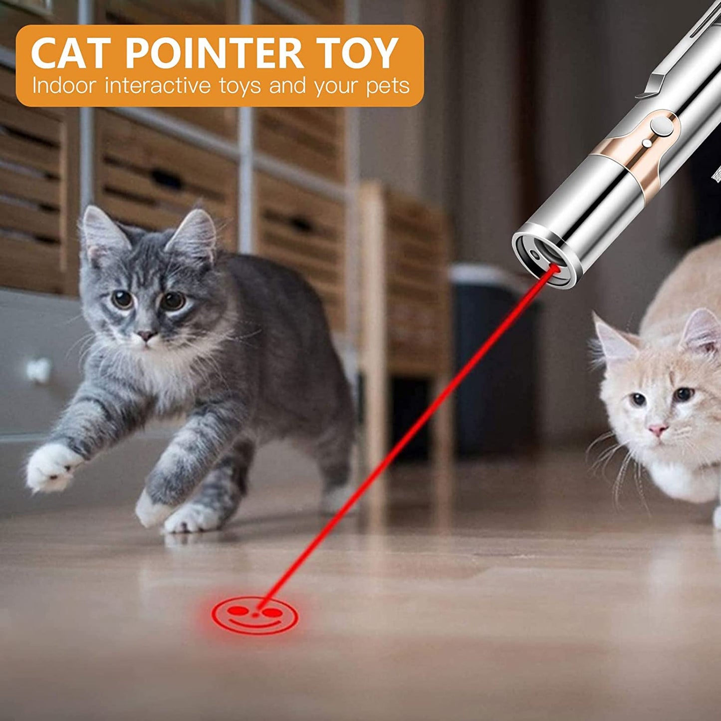 laser pen