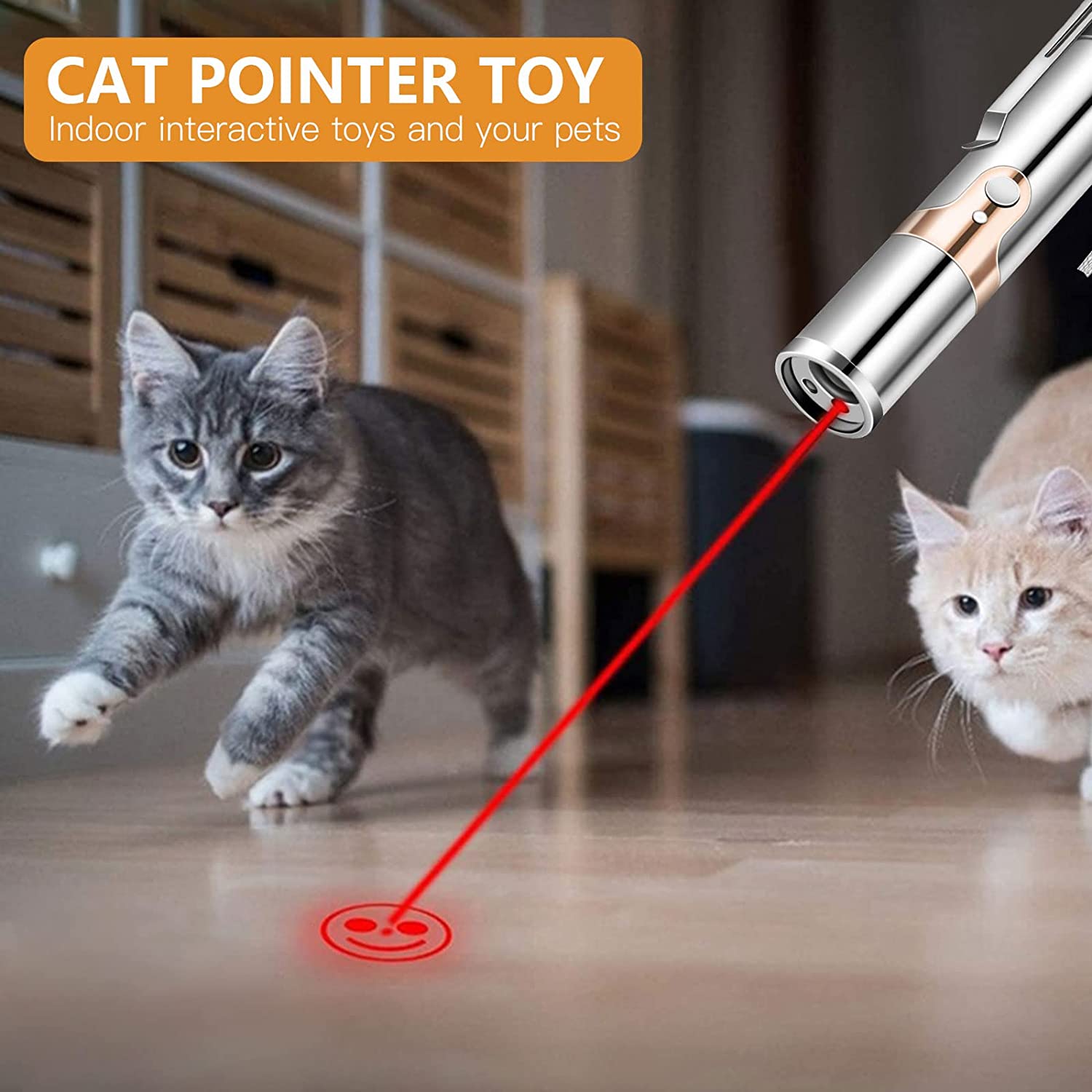 laser pen