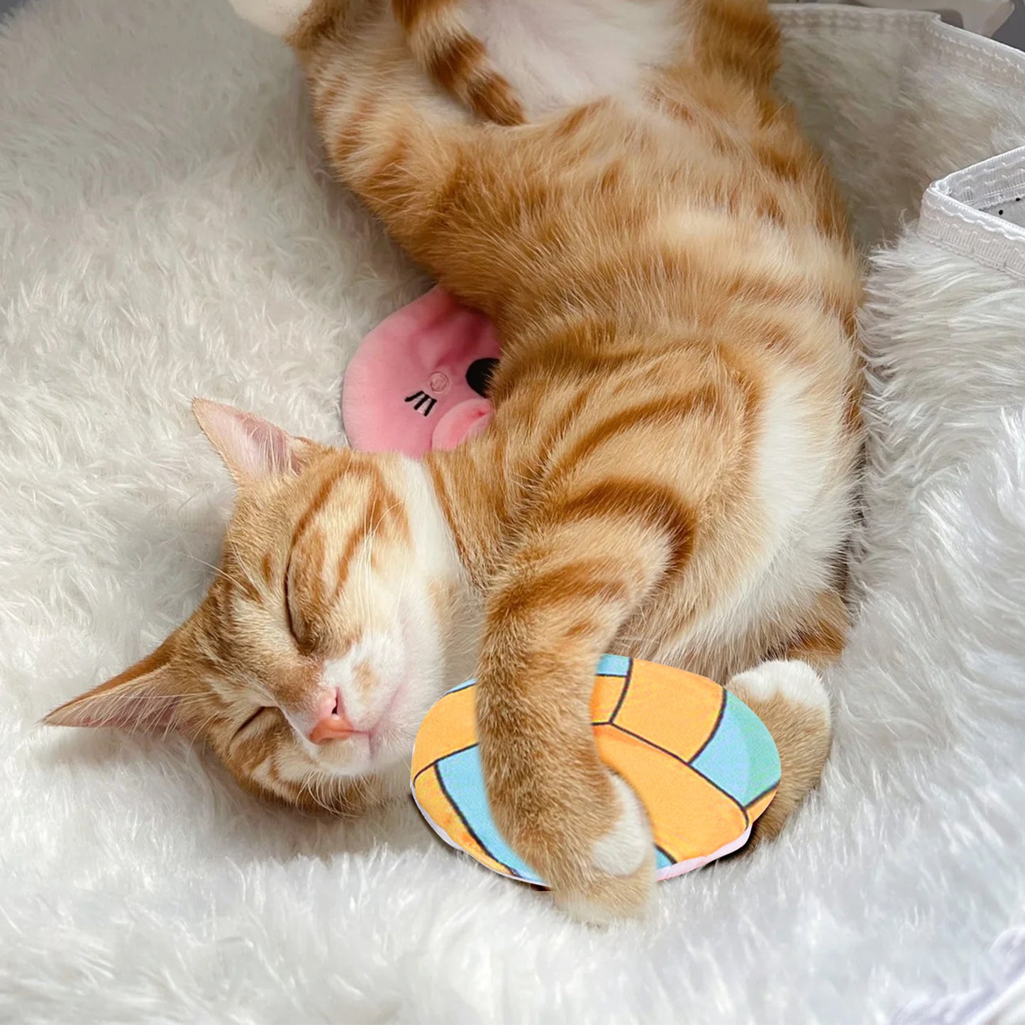 cat ball toy