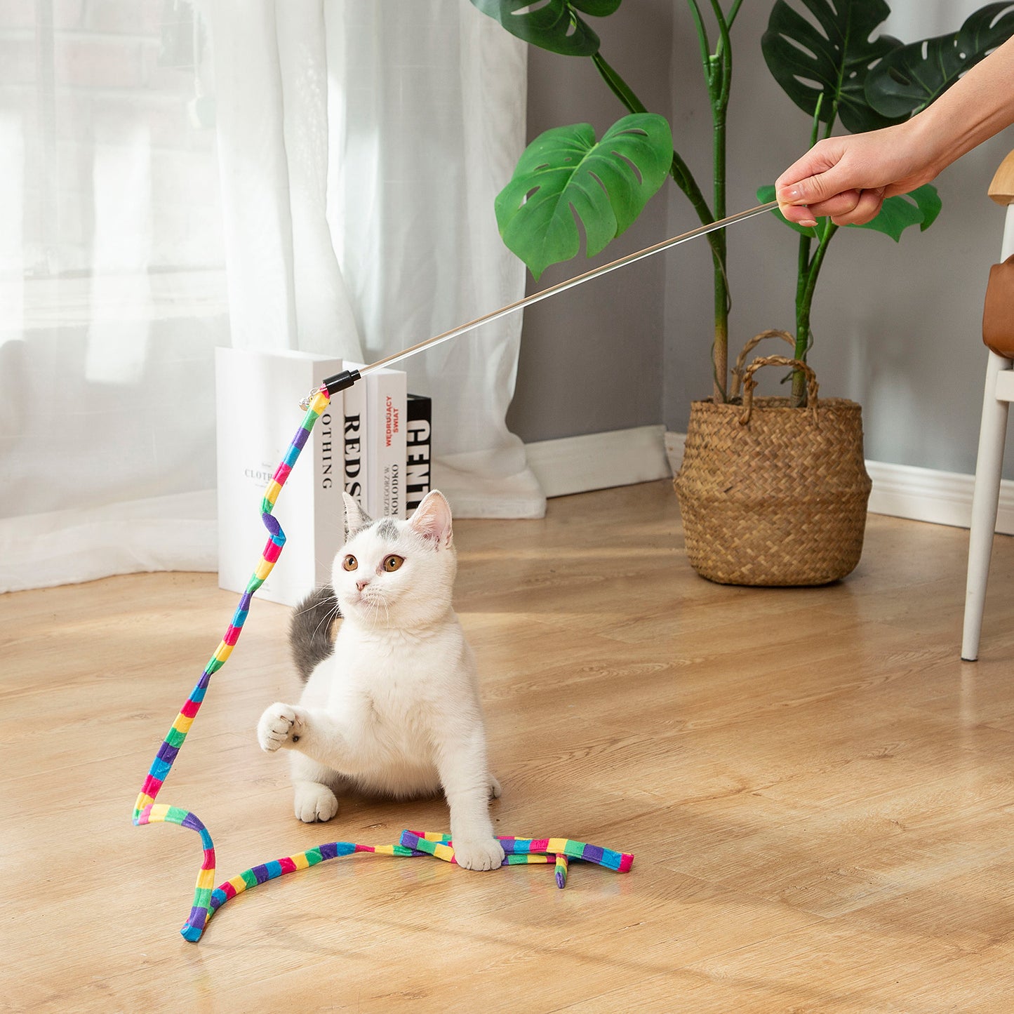 cat toys for indoor cats best sellers