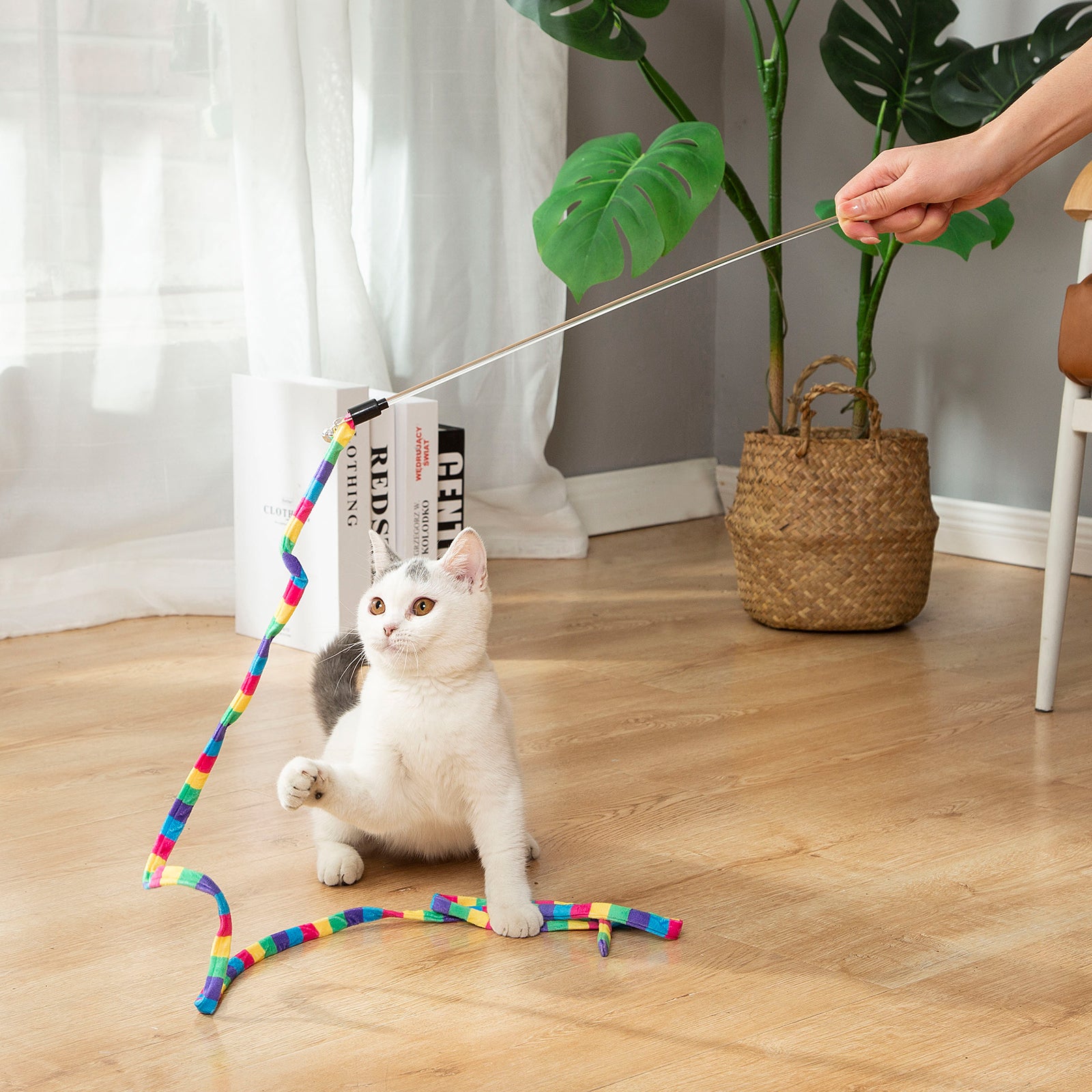 cat toys for indoor cats best sellers