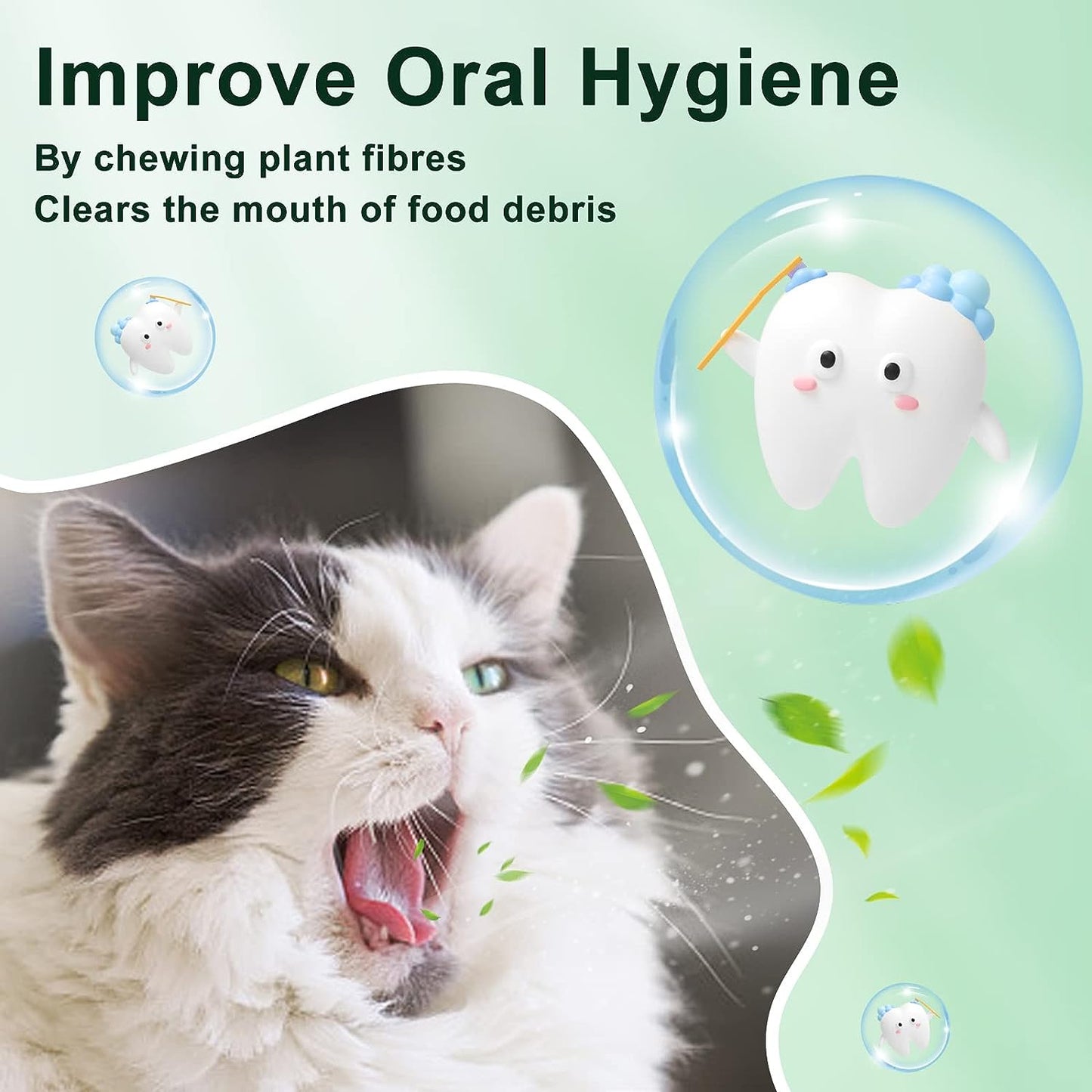 kitten teething toys