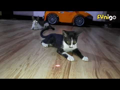 rechargeable laser pointer