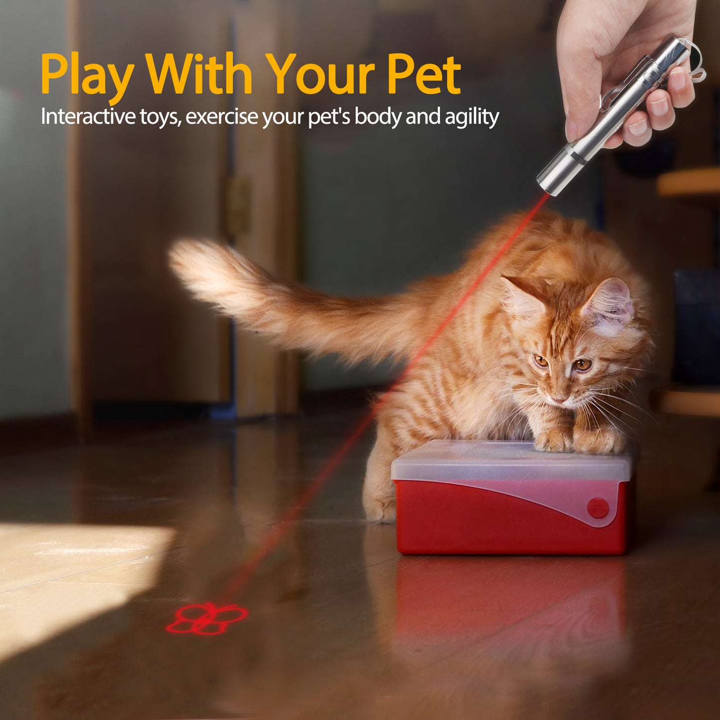 red laser pointer